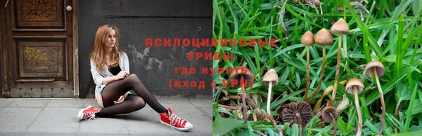 первитин Няндома