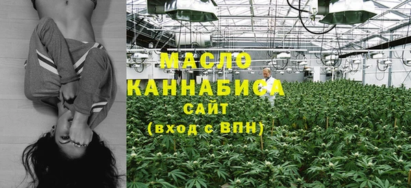 первитин Няндома