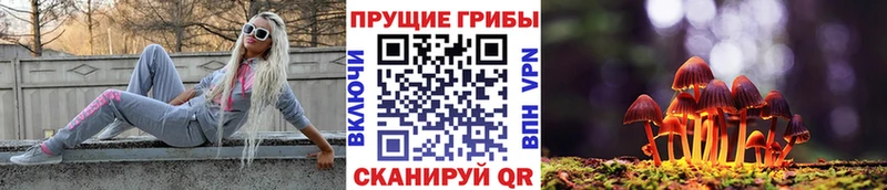 Псилоцибиновые грибы мицелий  OMG маркетплейс  Холмск 